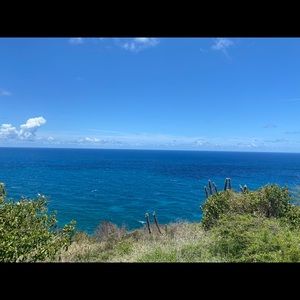 Meet your Posher, Nephterry